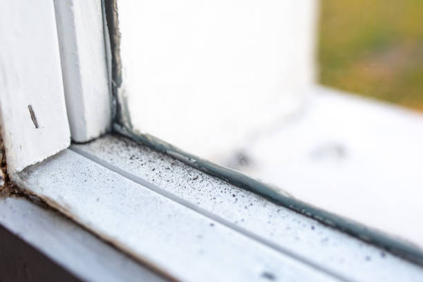 Professional Mold Removal in Saratoga Springs, NY