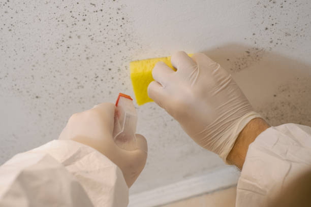 Best Post-Remediation Verification Testing  in Saratoga Springs, NY