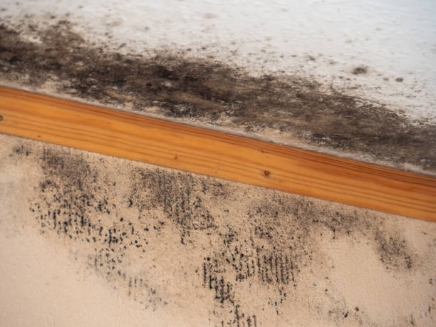 Mold Remediation for Rental Properties in Saratoga Springs, NY
