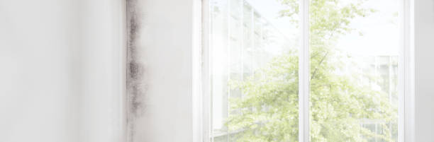Best HVAC Mold Inspection and Cleaning  in Saratoga Springs, NY
