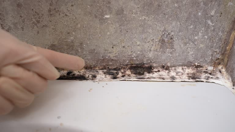 Best Biohazard Mold Removal  in Saratoga Springs, NY